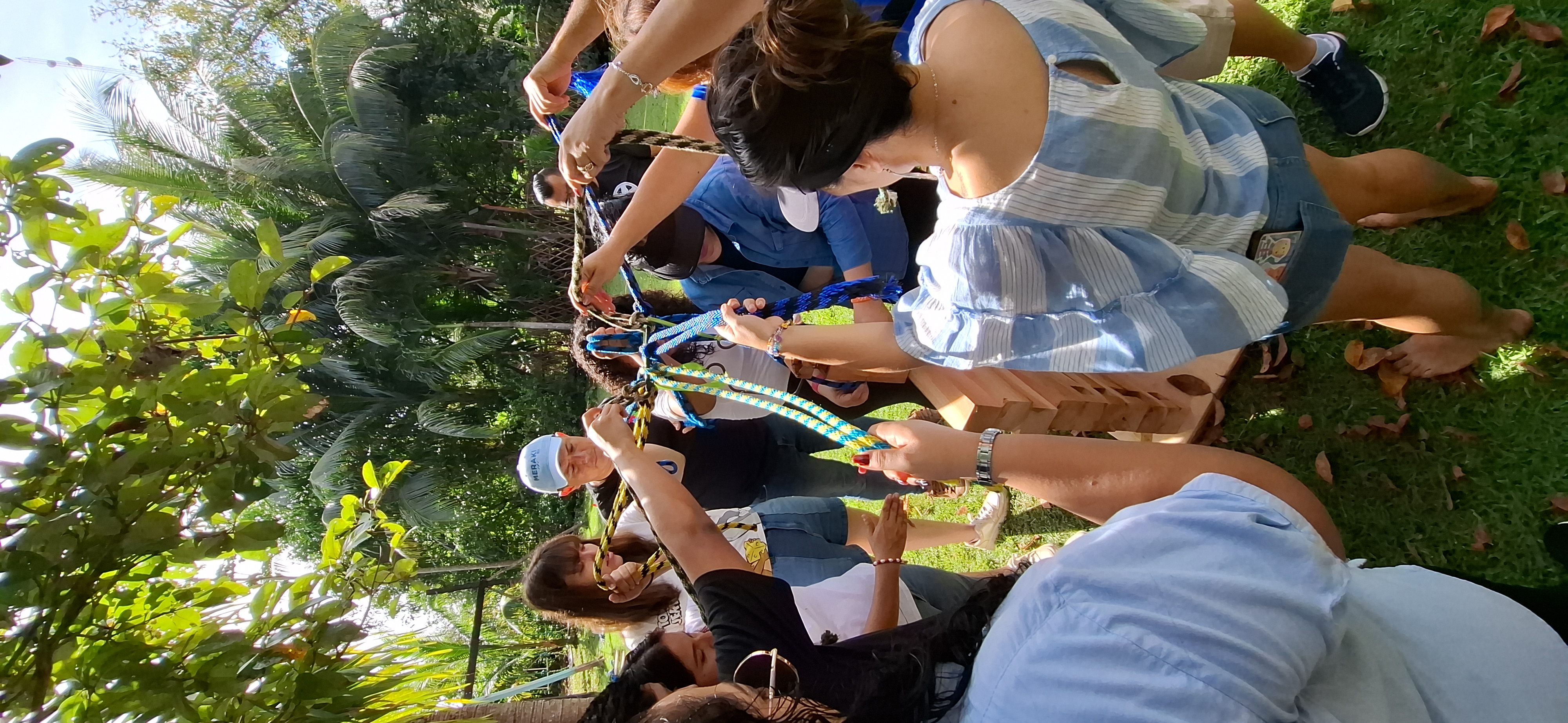 Celebración de logros